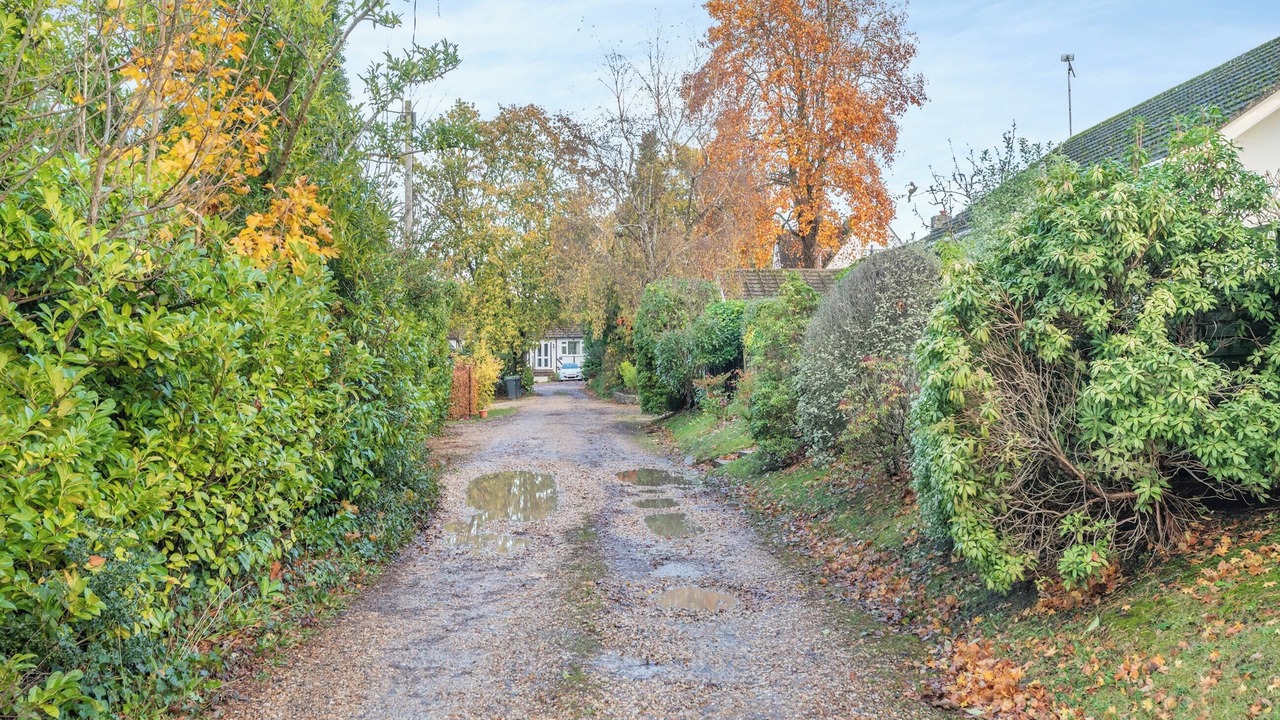 Photo of Others in Ferndown