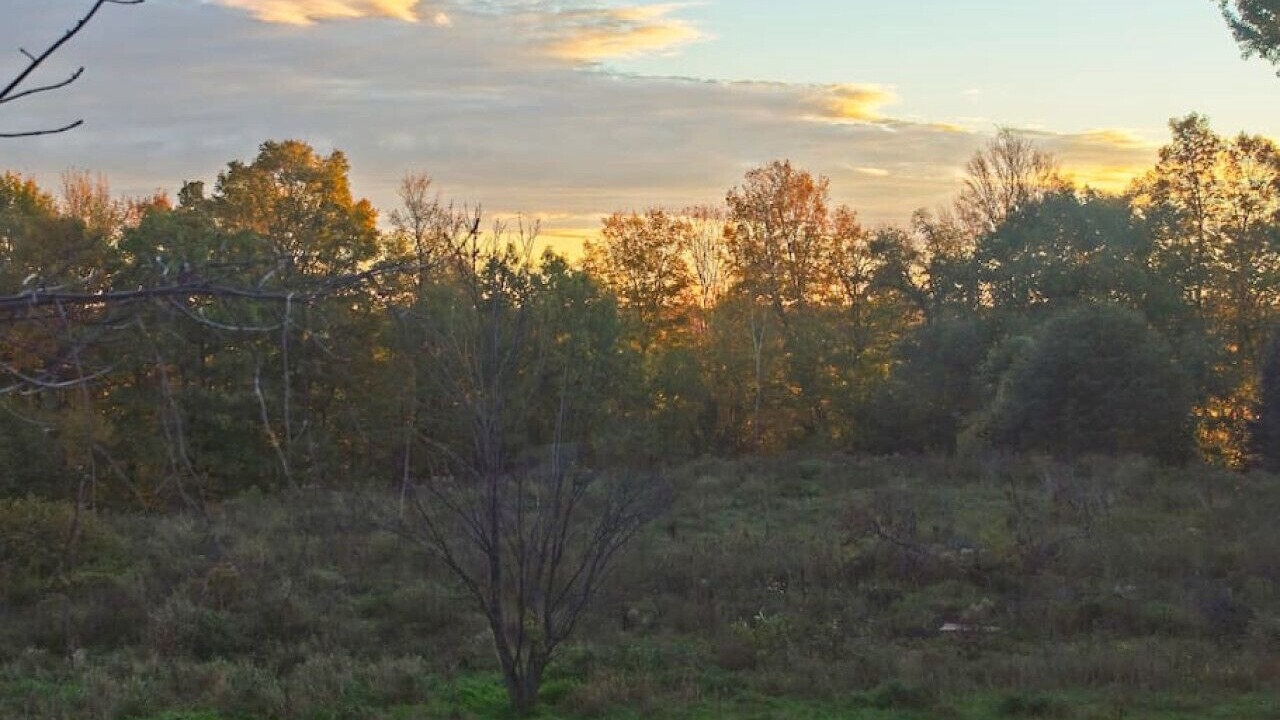 Photo of Outdoor in The Blue Mountains
