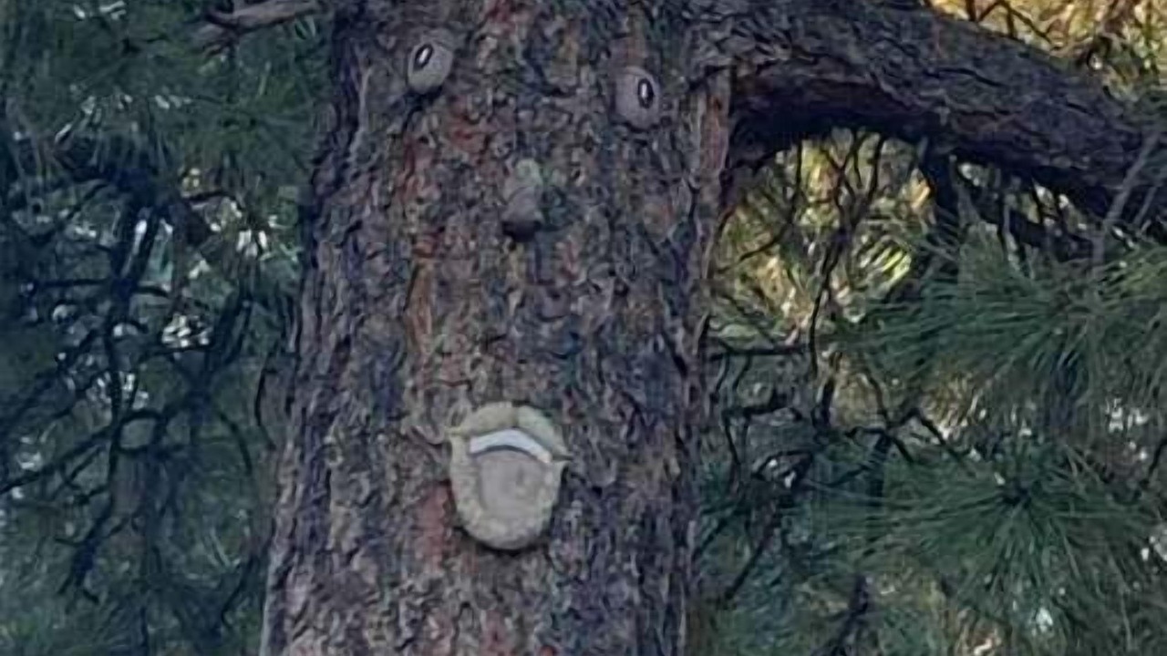 Photo of Others in Tijeras