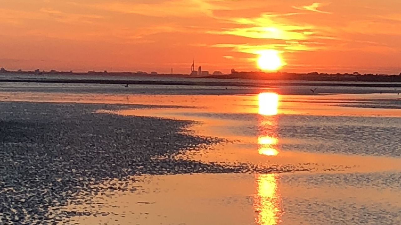Photo of Others in West Wittering