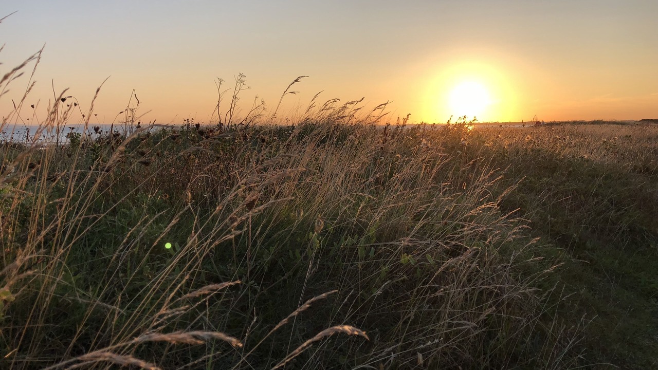 Photo of Others in West Wittering