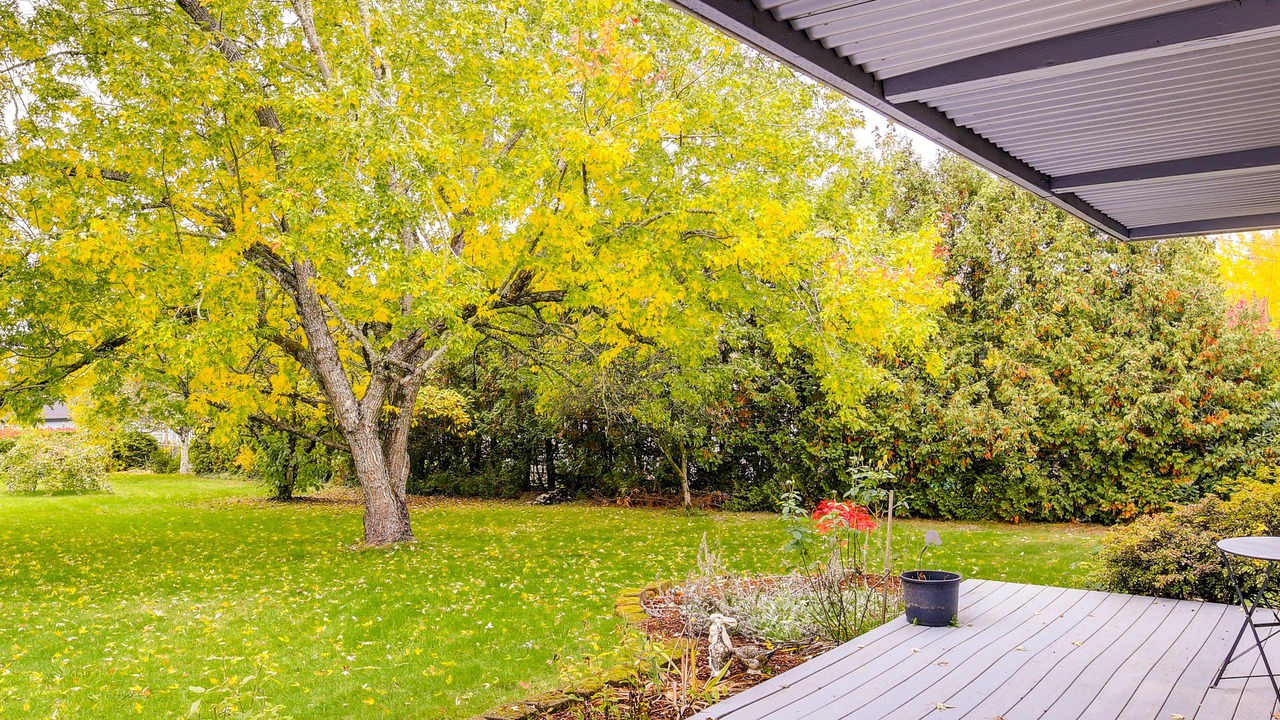 Photo of Patio Balcony in Carver