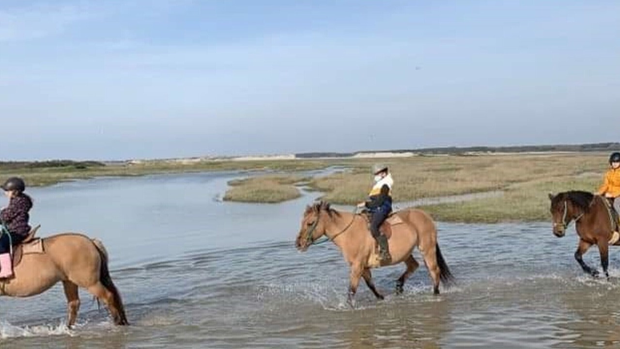 Photo of Others in Fort-Mahon-Plage