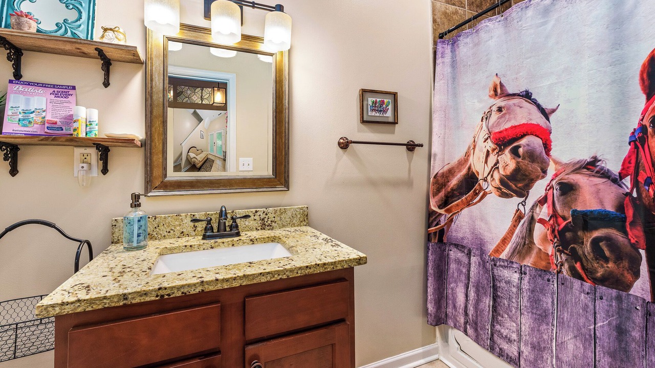 Photo of Bathroom in Old Louisville