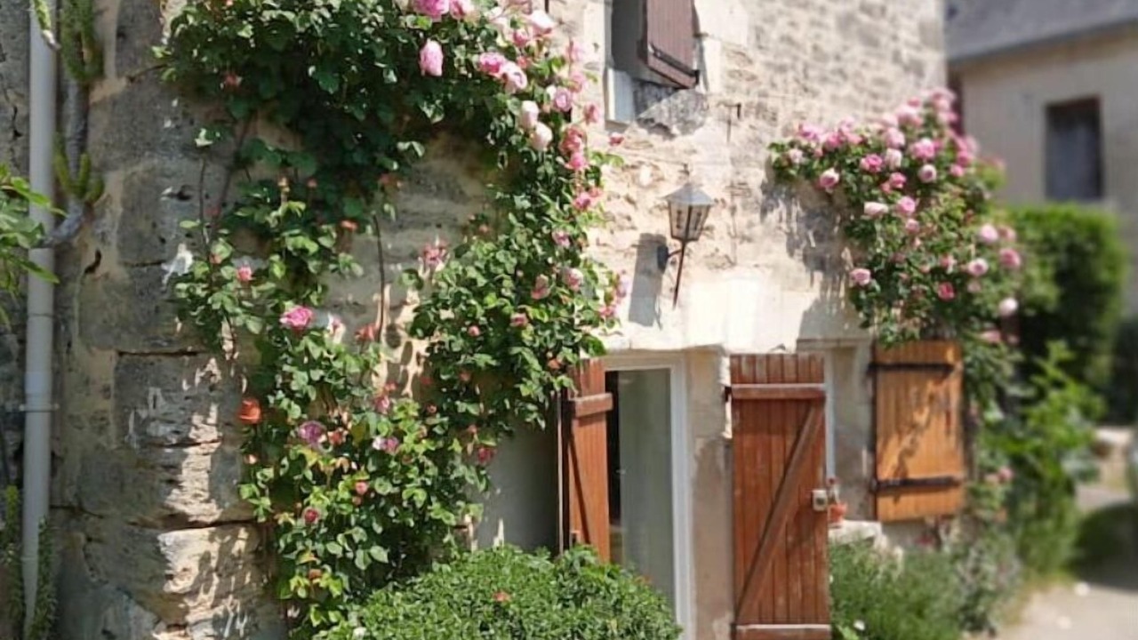Photo of Outdoor in Doue-la-Fontaine