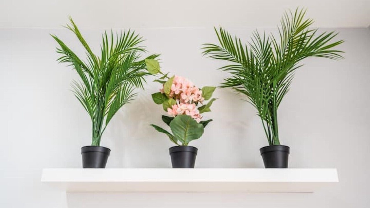 Photo of Others in Balti Triangle