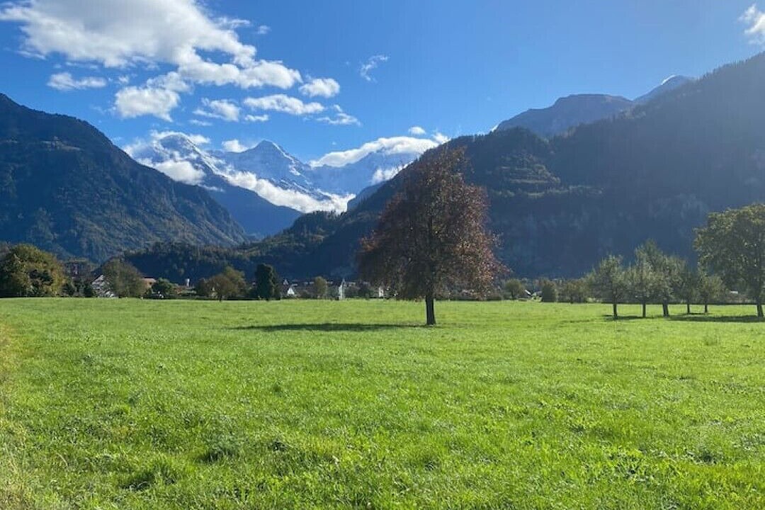 Photo of Others in Seewil