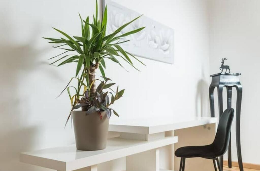 Photo of Others in Saint-Marceau