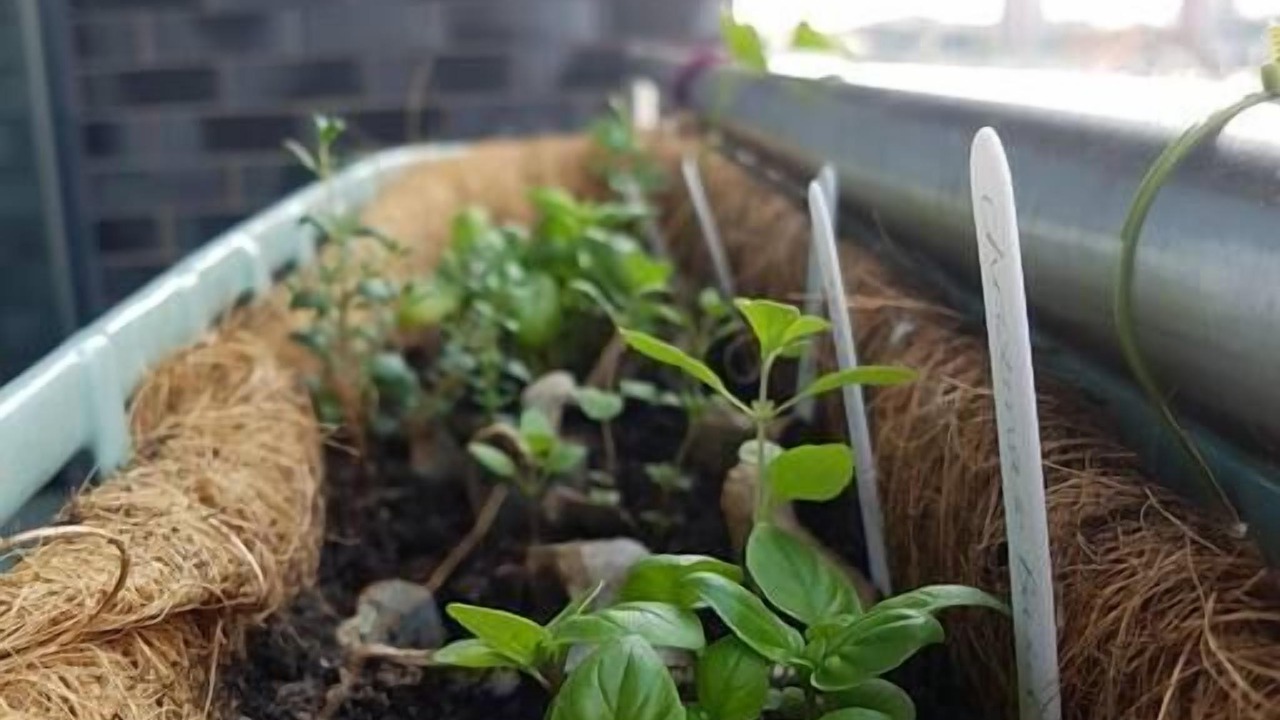 Photo of Others in Castlefield