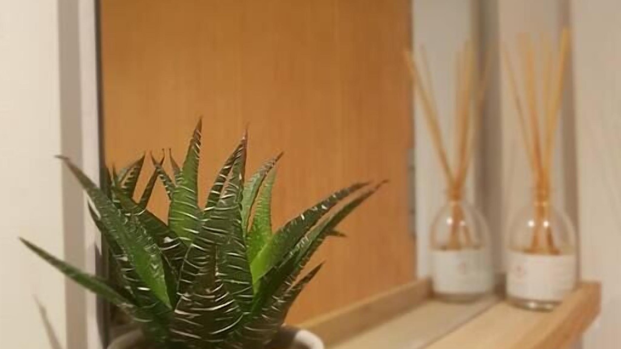 Photo of Others in Castlefield