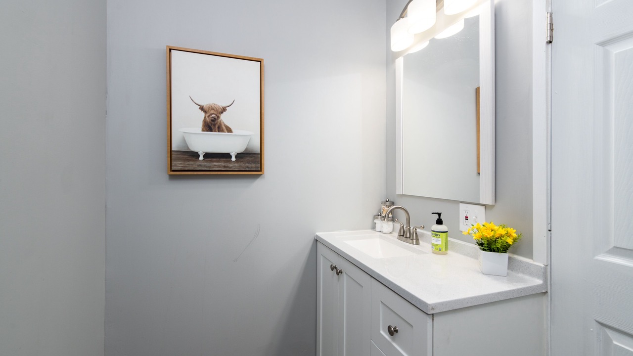 Photo of Bathroom in St. Louis