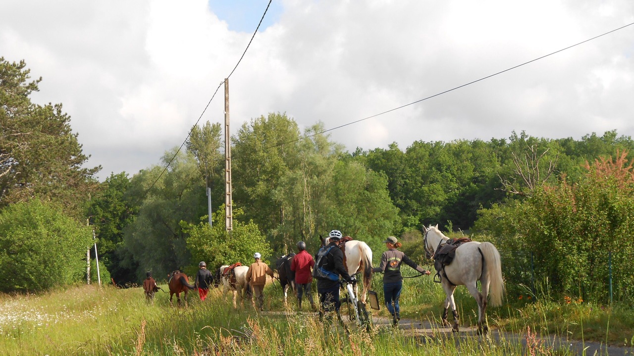 Photo of Others in Tournon-d'Agenais