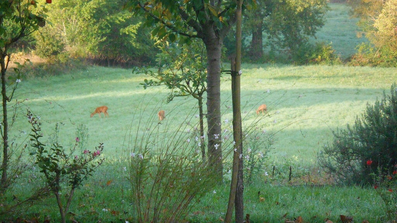 Photo of Outdoor in Tournon-d'Agenais