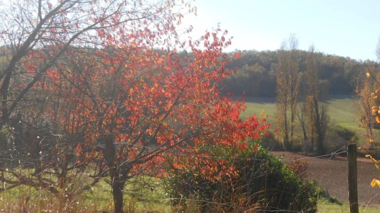 Photo of Outdoor in Tournon-d'Agenais