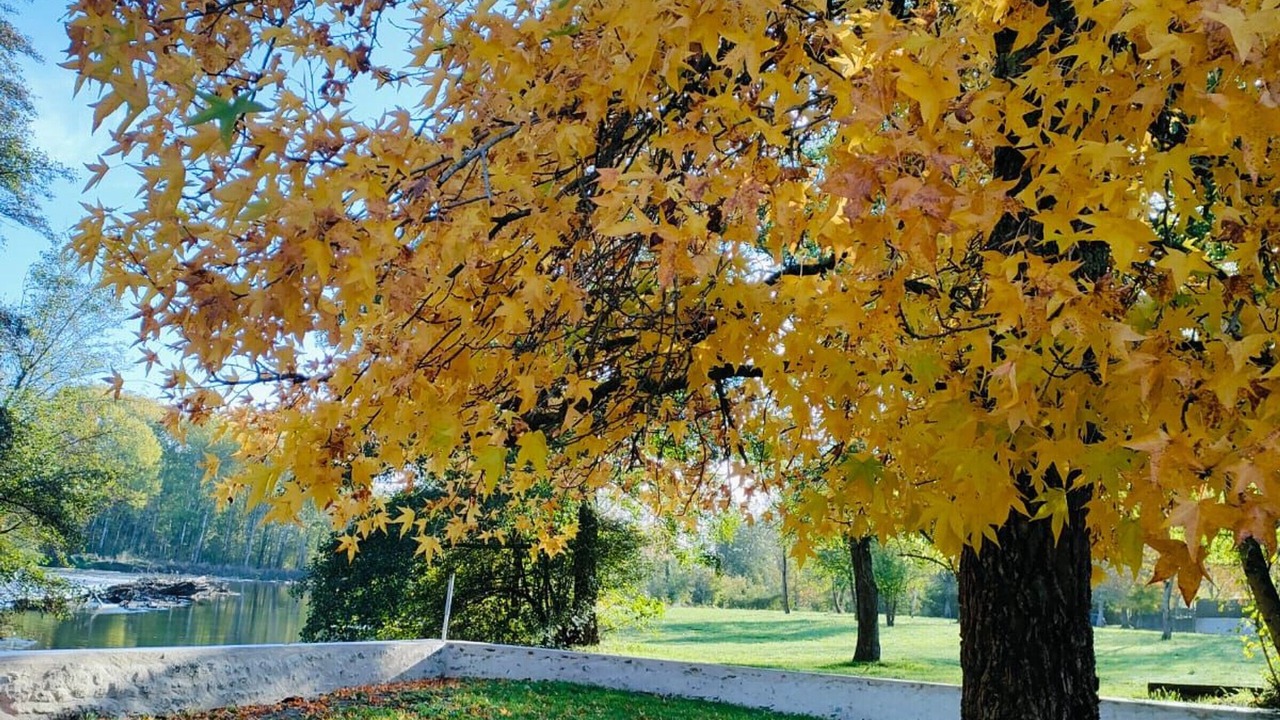 Photo of Outdoor in Saint-Aigny