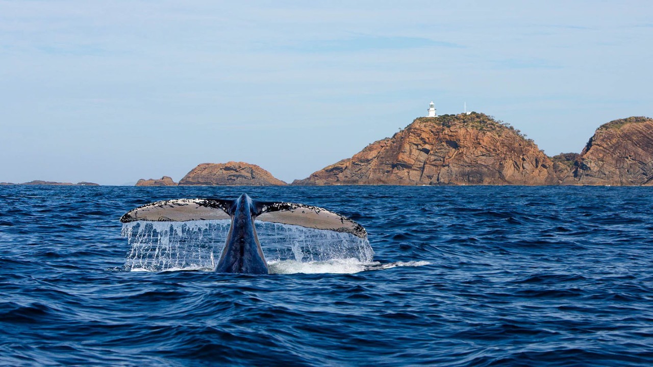 Photo of Others in Boomerang Beach