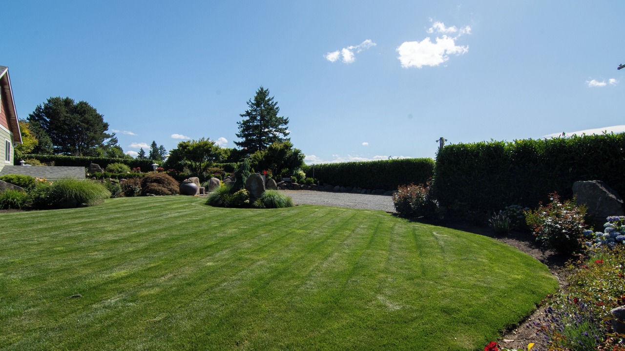 Photo of Outdoor in Camas