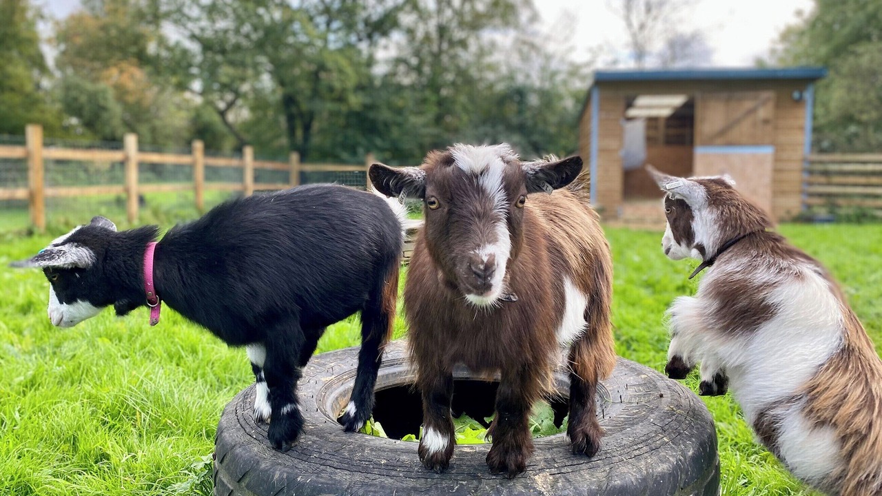 Photo of Others in Seend