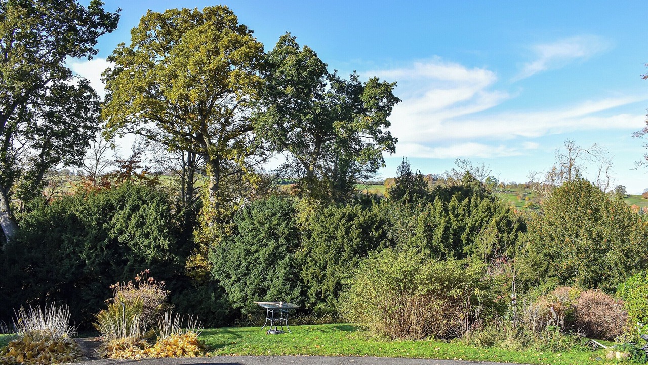 Photo of Others in Jedburgh