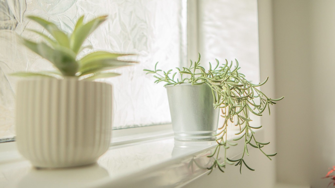 Photo of Others in Riverside