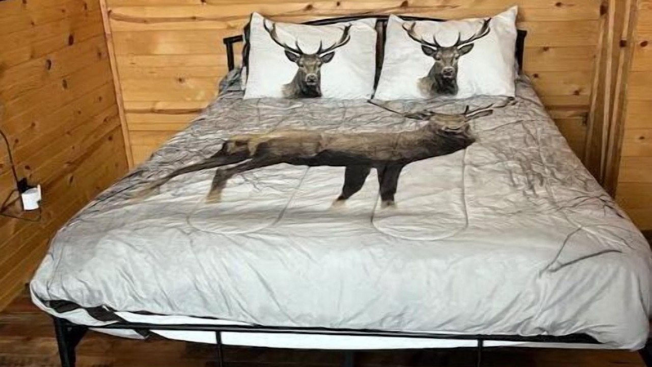 Photo of Bedroom in Antlers