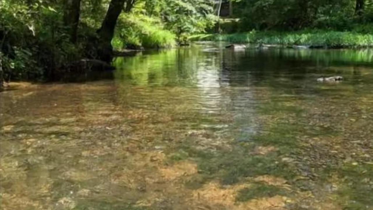 Photo of Outdoor in Piedmont