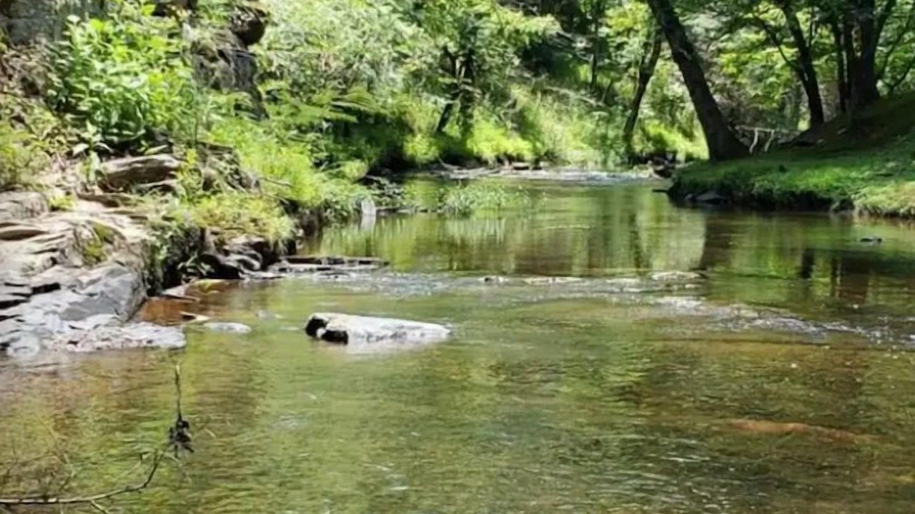 Photo of Others in Piedmont