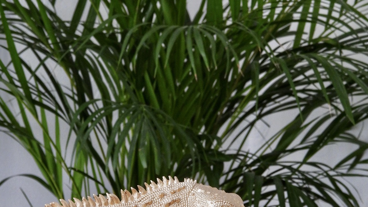 Photo of Others in Bitche