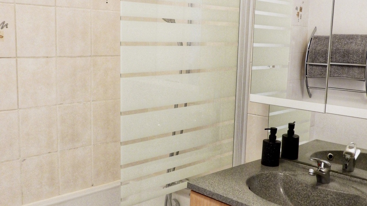 Photo of Bathroom in Bitche