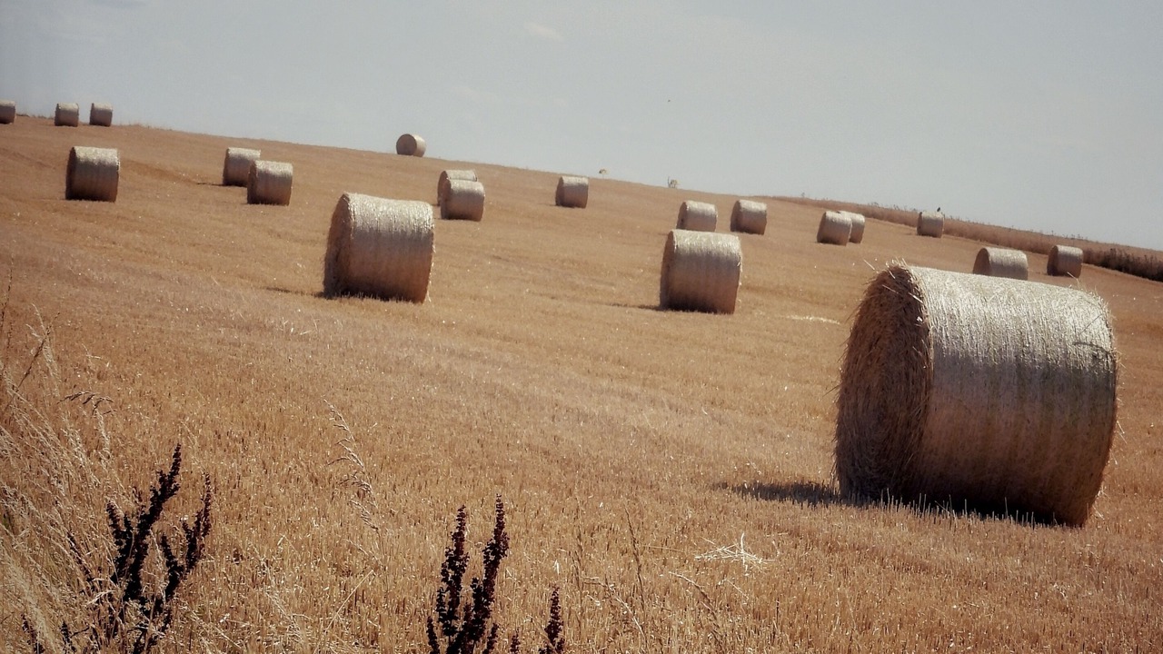Photo of Outdoor in Bitche