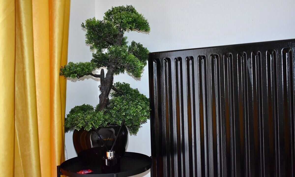 Photo of Others in Northumberland Park