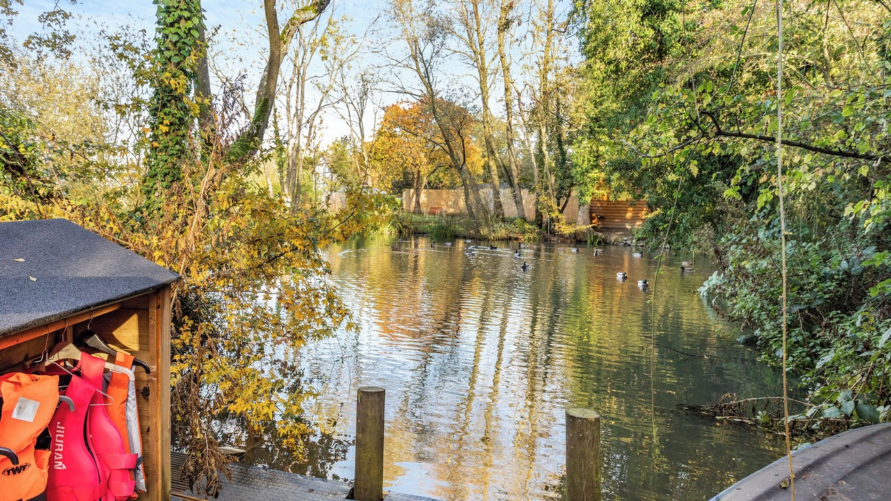 Photo of Outdoor in Newmarket