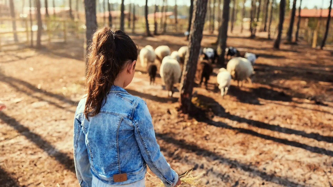 Photo of Others in Beauziac