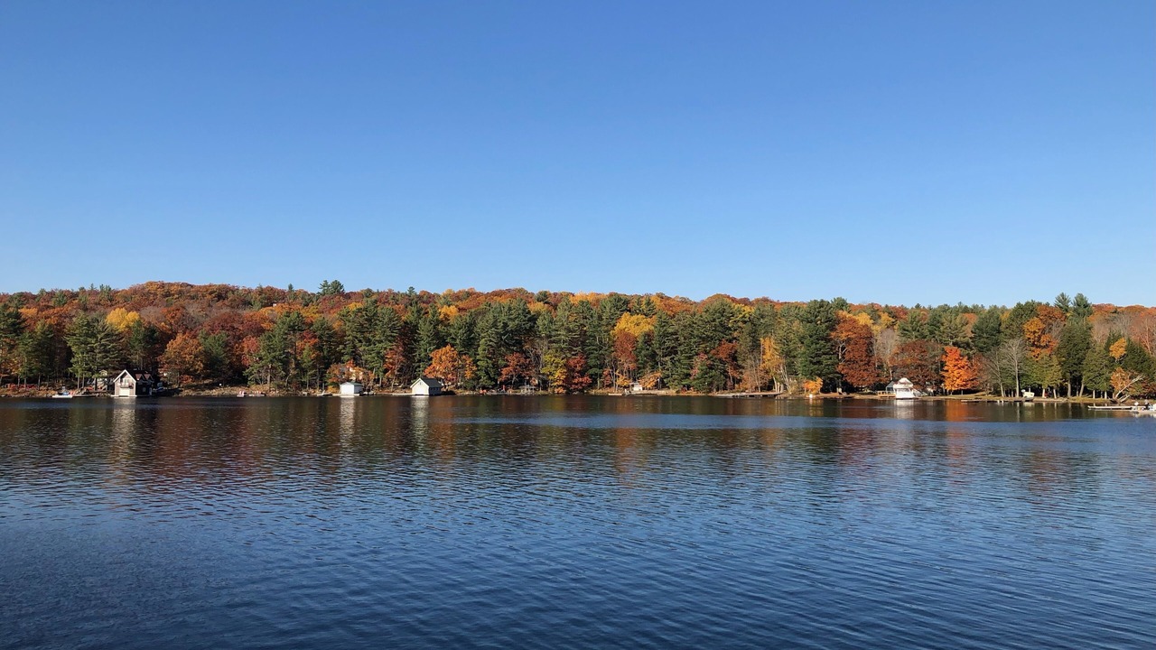 Photo of Outdoor in Muskoka Lakes