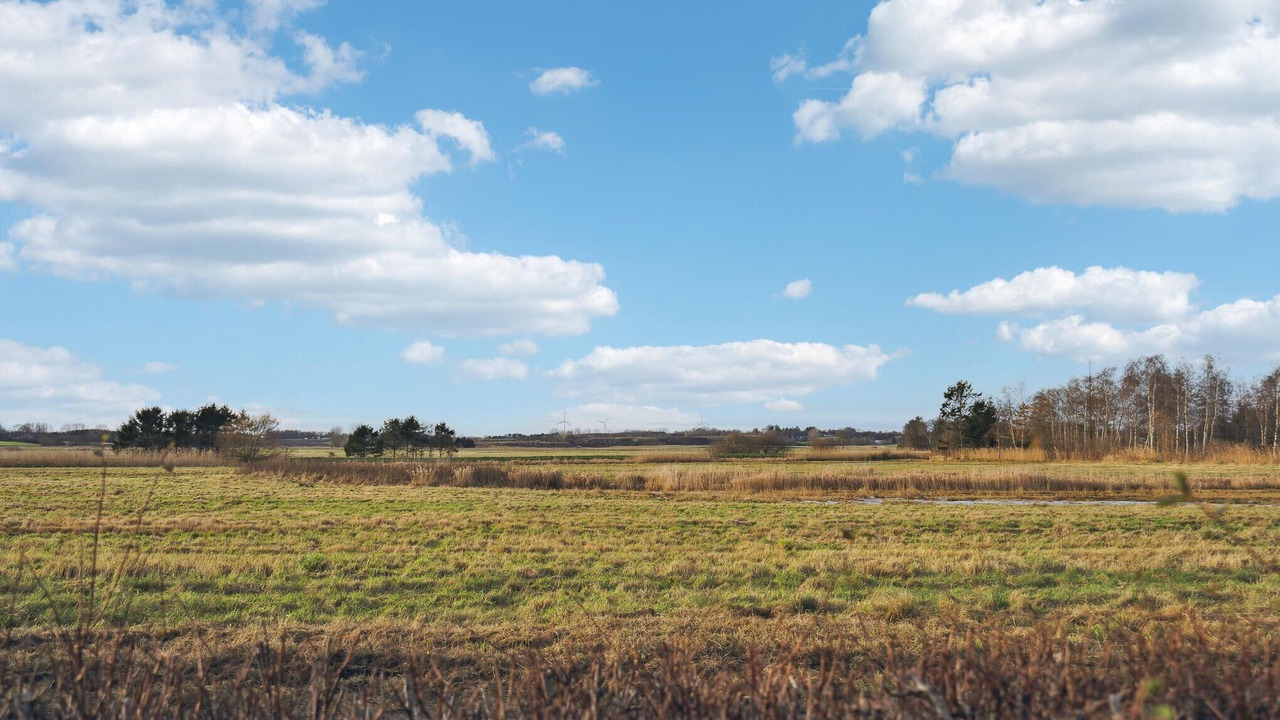 Photo of Bedroom in Vejlby Fed
