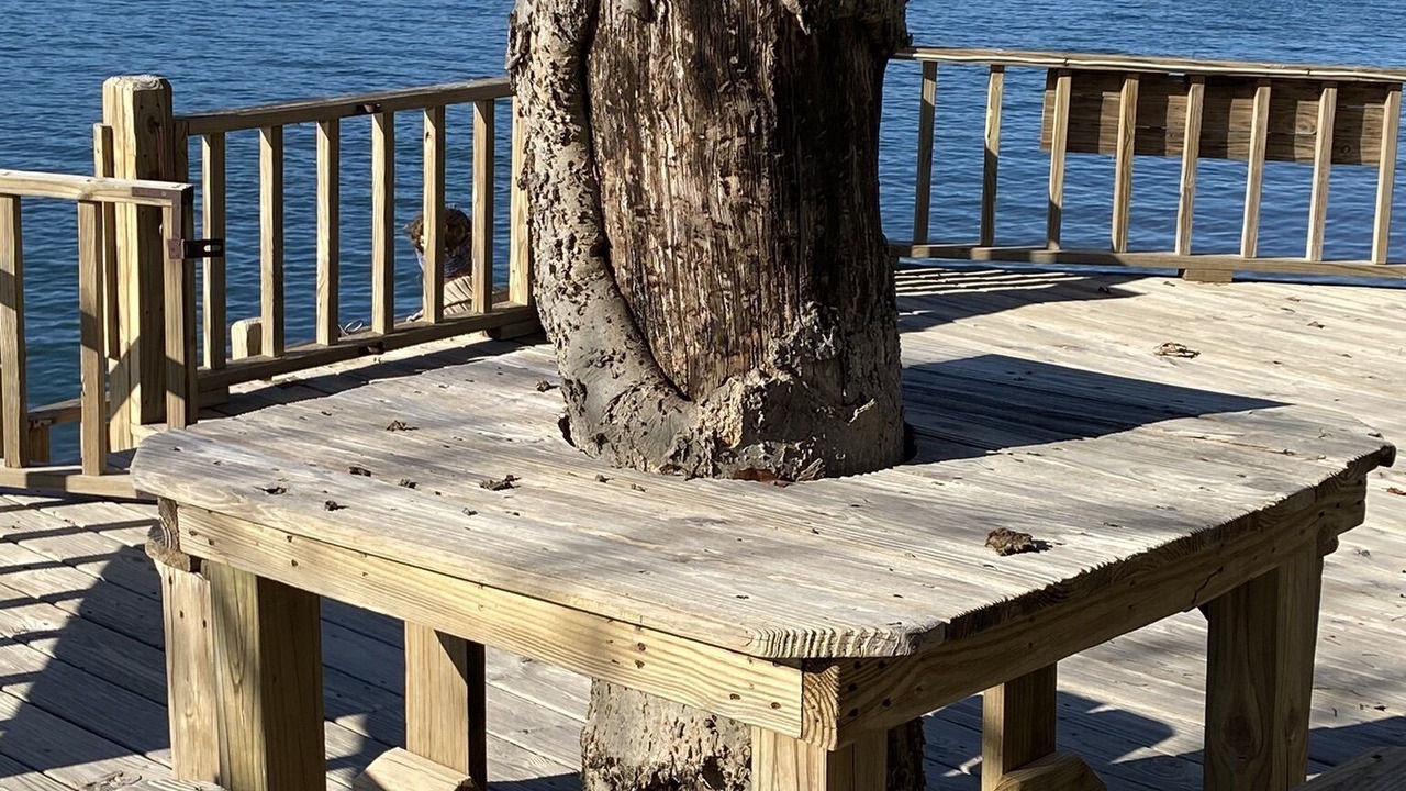 Photo of Outdoor in Lobelville