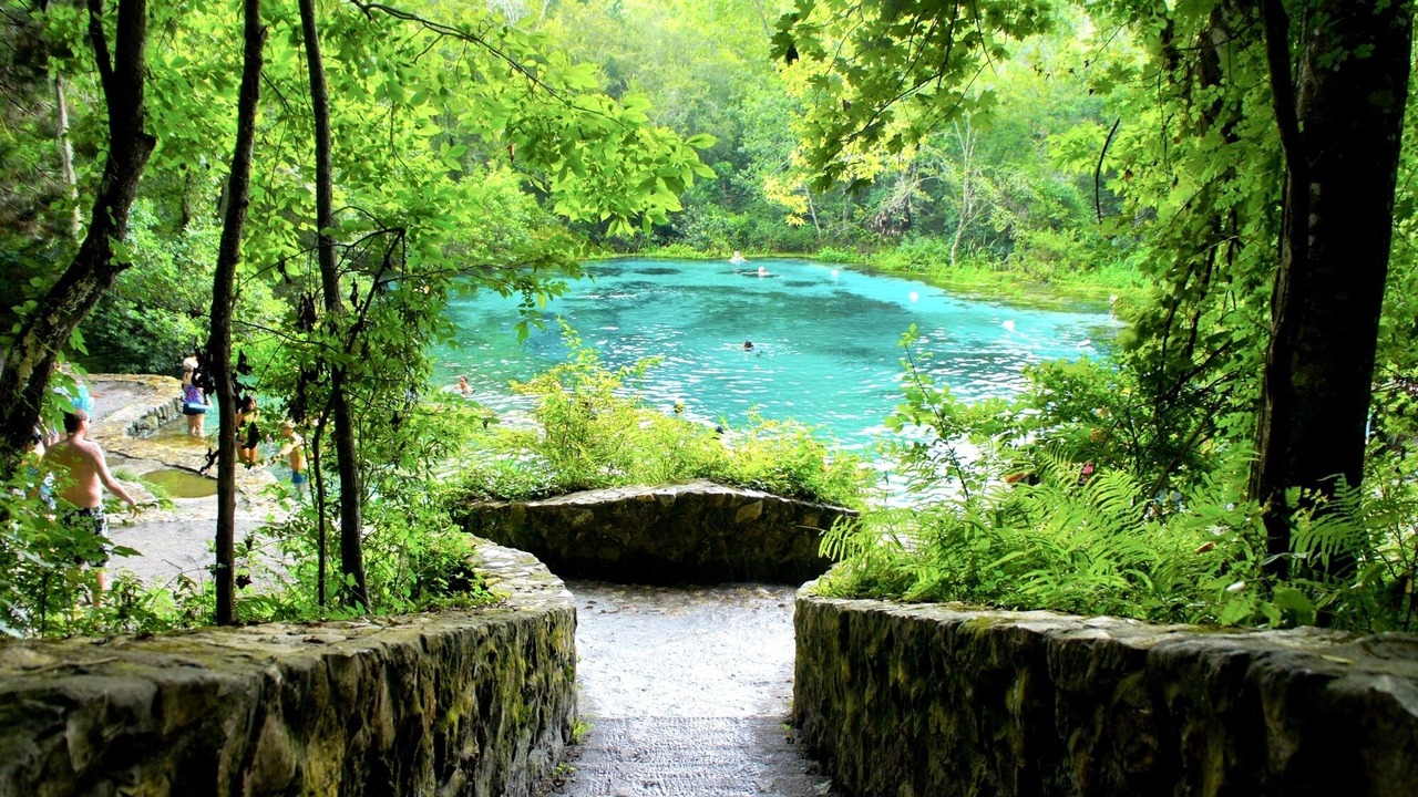 Photo of Others in Fort White