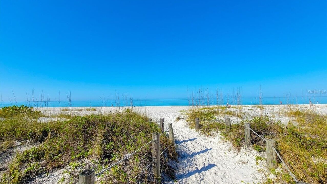 Photo of Others in Sunny Shores