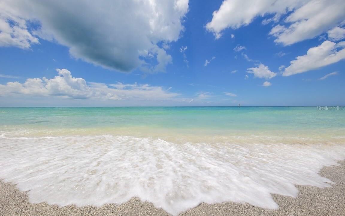 Photo of Others in Sunny Shores