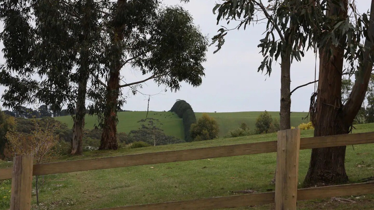 Photo of Others in Gordon