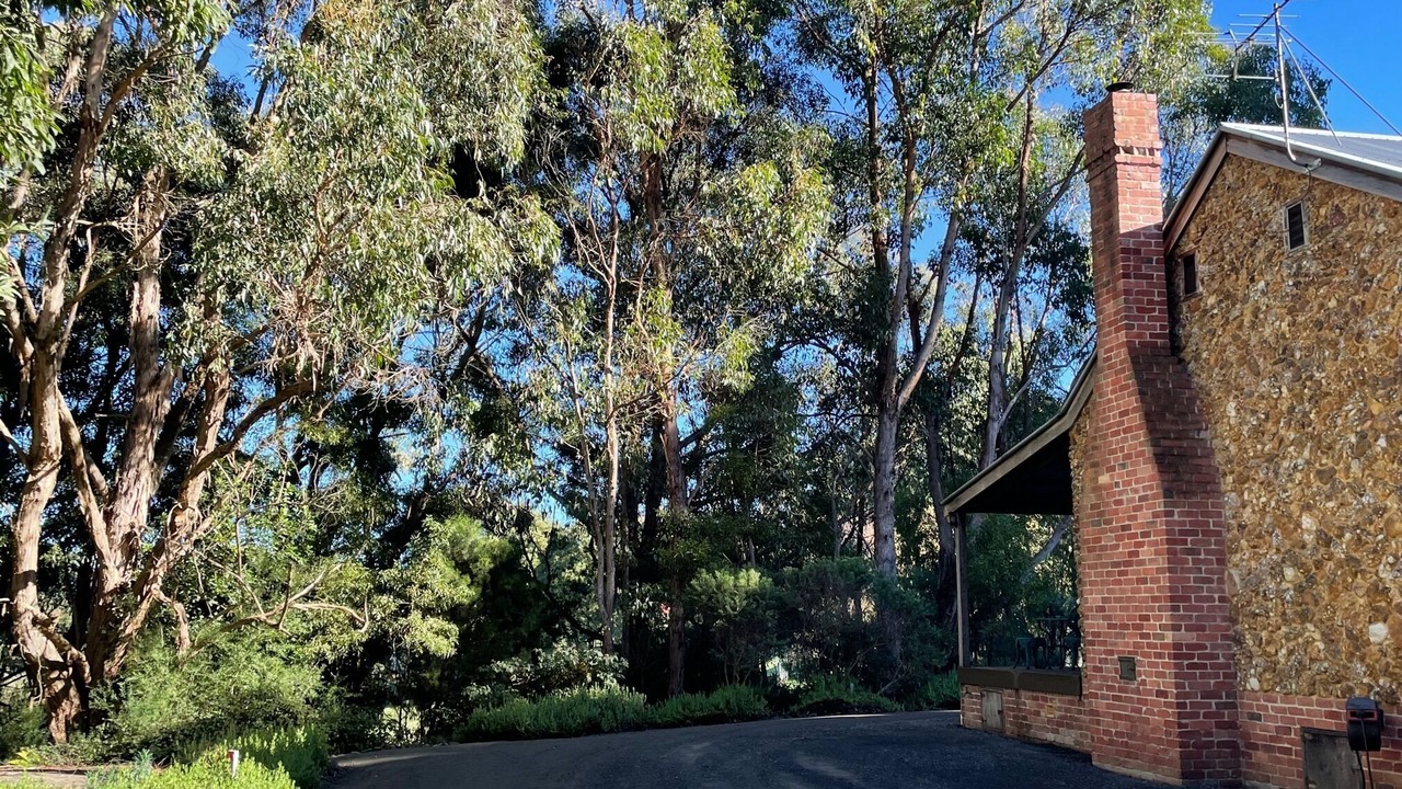 Photo of Others in Gordon