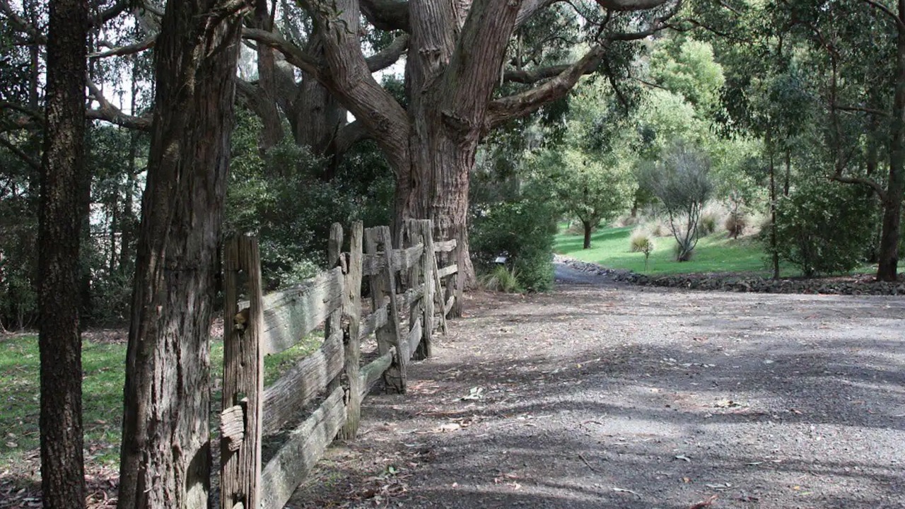 Photo of Others in Gordon