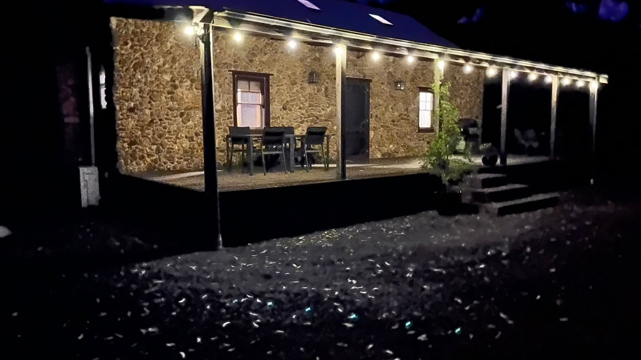 Photo of Others in Gordon