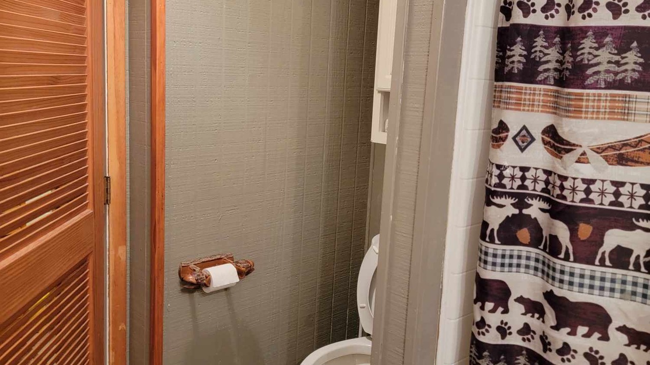 Photo of Bathroom in Onaway