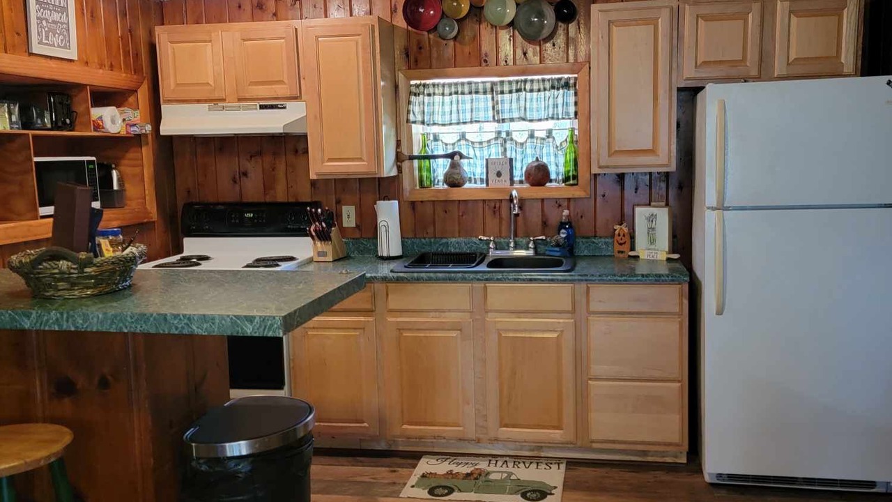 Photo of Kitchen in Onaway