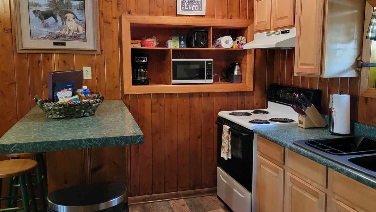 Photo of Kitchen in Onaway