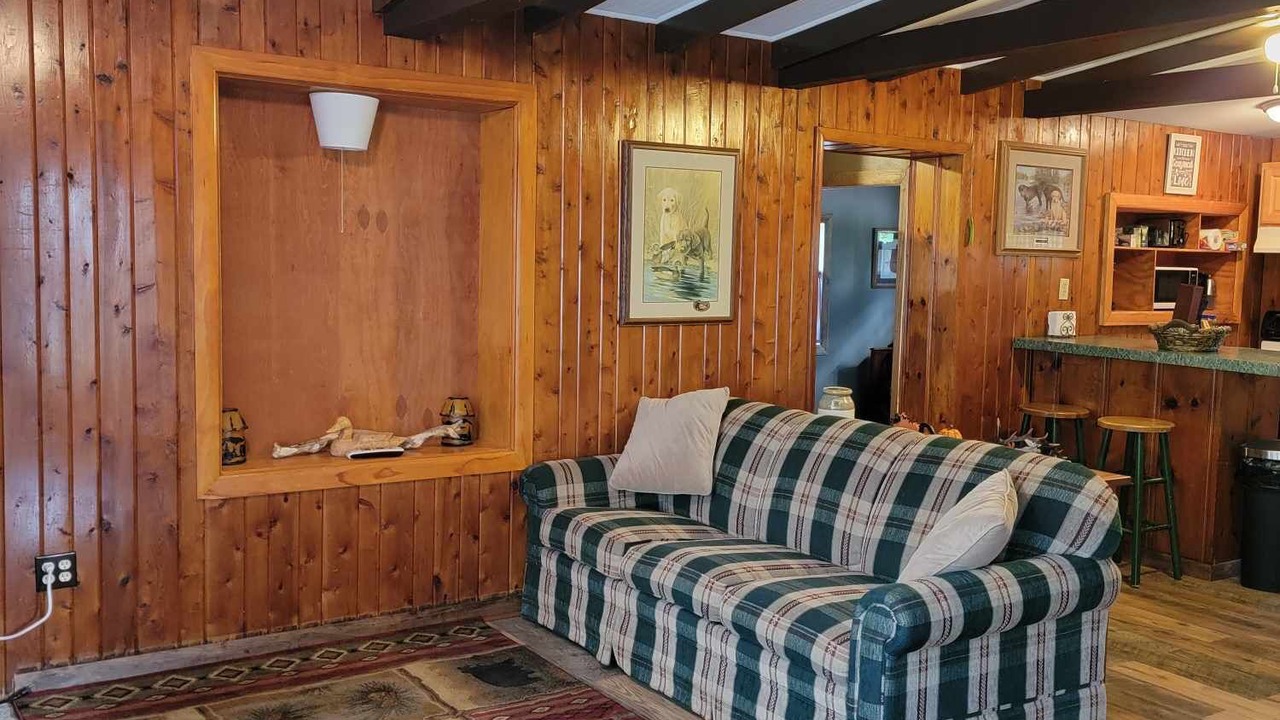 Photo of Livingroom in Onaway