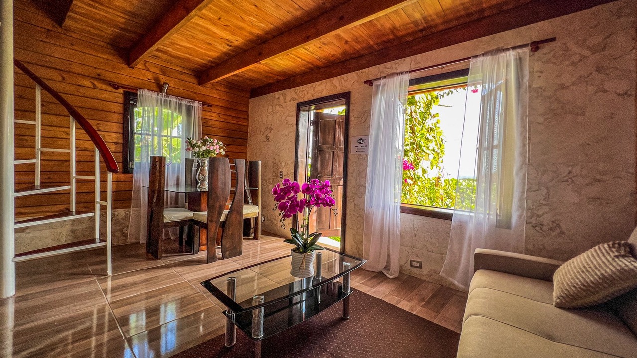 Photo of Livingroom in Samana