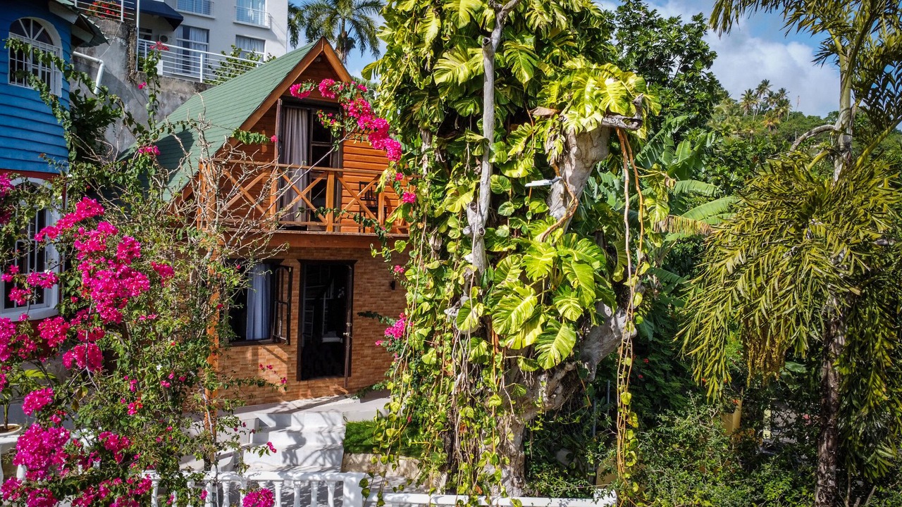 Photo of Outdoor in Samana