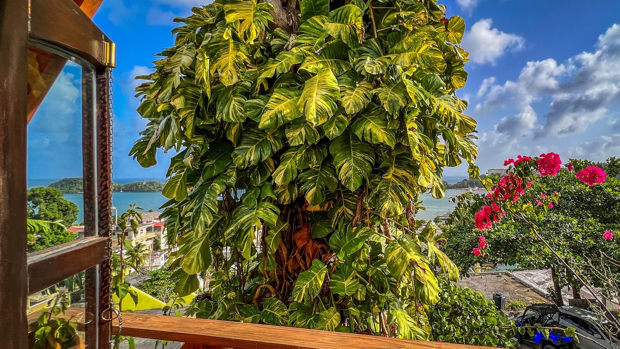 Photo of Outdoor in Samana